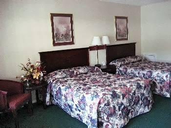 Motel Motor